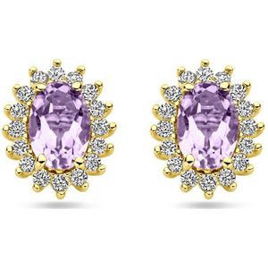 14K geelgoud oorknoppen amethist en zirkonia 9,5 mm 4031148