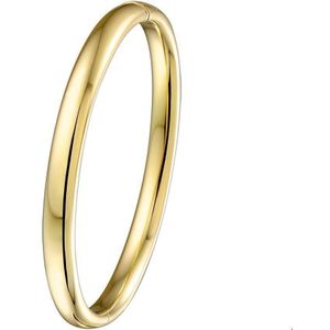 bangle scharnier massief ovale buis 6 mm Zilgold (geel met zilverkern) 5000033