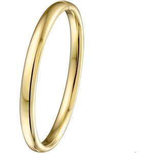 Goud met Zilveren Kern Bangle scharnier massief ovale buis 6 x 61 mm 5000033