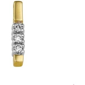 Bicolor Gouden Hanger diamant 0.05ct H P1 4206789