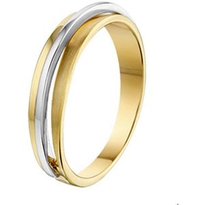 Bicolor Gouden Ring poli/mat 4207497 17.50 mm (55)