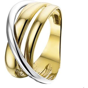 ring 14K bicolor goud geel/wit 4207604