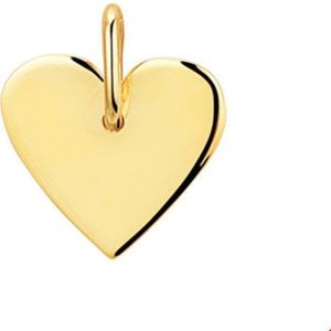 graveerhanger hart 14K geelgoud 4019231