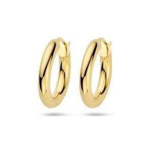 18K geelgoud oorringen 4,0 mm buis 21 mm 7000292
