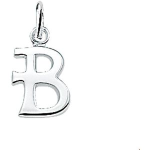 Zilveren Hanger letter B 1002761