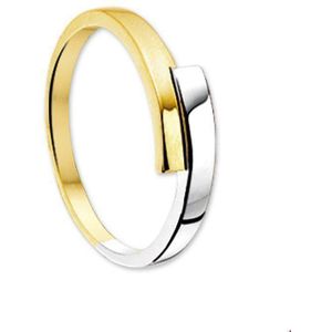 ring 14K bicolor goud geel/wit 4205415