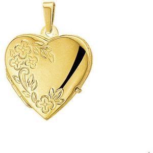 medaillon hart gravure poli/mat 14K geelgoud 4015854