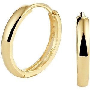 klapoorringen 14K geelgoud 4020304