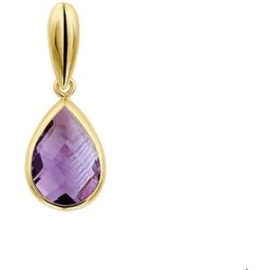 Geelgouden Hanger amethyst 4017171