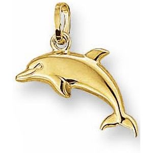 Gouden dolfijn hanger 4001730