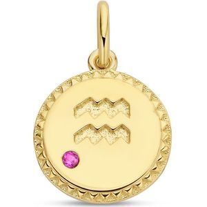 hanger sterrenbeeld zirkonia zilver verguld (geel) 2102525