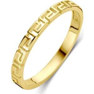 14K geelgoud ring 4031496 16.50