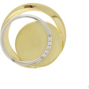 Bicolor Gouden Hanger diamant 0.03ct H SI 4207420