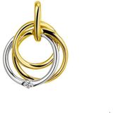 Bicolor Gouden Hanger diamant 0.02ct H SI 4207470