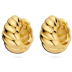 zilver verguld (geel) klapoorringen gedraaid 6,5 mm 1 micron 2103833