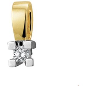 Bicolor Gouden Hanger diamant 0.05ct H SI 4207562