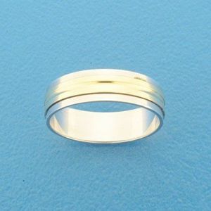 Goud met Zilveren Ring AL758 - 5 mm - zonder steen 5600169 20.25 mm (64)