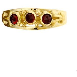 ring granaat 14K geelgoud 4015513