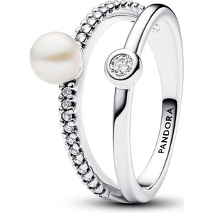 Pandora 193147C01 - Timeless Double Band - Silver - Ring-50 is maat 16