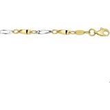 Bicolor Gouden Collier 2 4207188