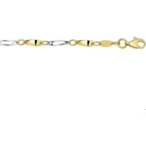 Bicolor Gouden Collier 2 4207188