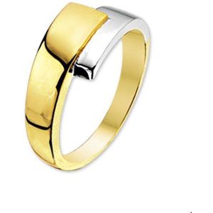 Bicolor Gouden Ring 4205859 20.00 mm (63)