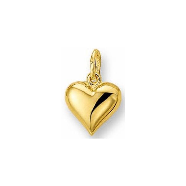 The Jewelry Collection Hanger Hart - Goud kopen? Vergelijk de beste prijs  op