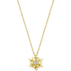 14K bicolor goud geel/wit collier diamant 0.03ct h si 41 - 43 - 45 cm 4209042