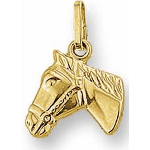 Gouden paardenhoofd hanger 4001846
