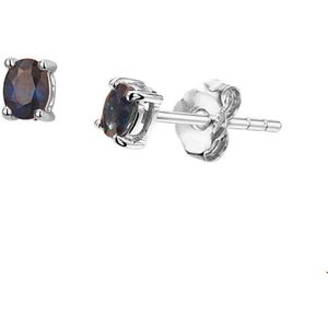 Witgouden Oorknoppen saffier 4104651