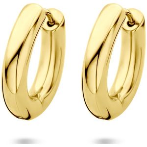 edelstaal klapoorringen ion plating 20 mm 6506143