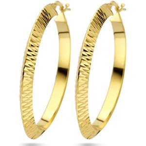 oorringen spitse buis gediamanteerd 1 micron zilver verguld (geel) 2103219