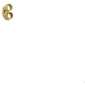 poussetten 14K geelgoud 4004969