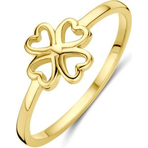 14K geelgoud ring klavertje 4031642 17.75