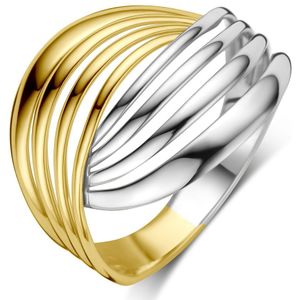 Ring - 14k Bicolor - Wit- en Geelgouden Ring - 16 mm - Gepolijst
