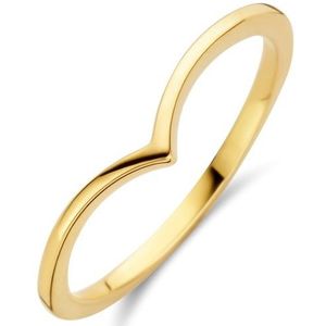ring 14K geelgoud 4023428