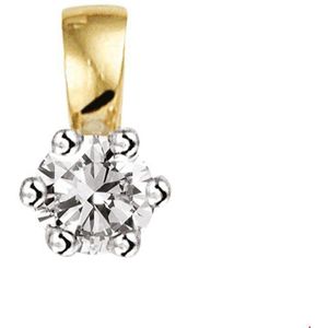 Bicolor Gouden Hanger diamant 0.10ct H SI 4208285
