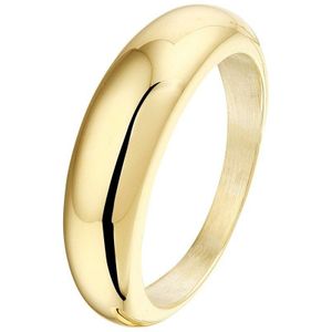 Goud met Zilveren Kern Ring 5000242 17.00 mm (53)