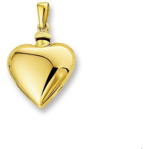 Geelgouden Urnhanger hart 4013158