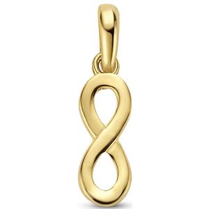 14K geelgoud hanger infinity 4027995