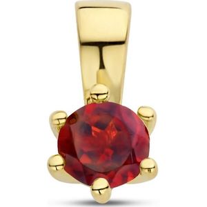 hanger met geboortesteen zilver verguld (geel) 2102820