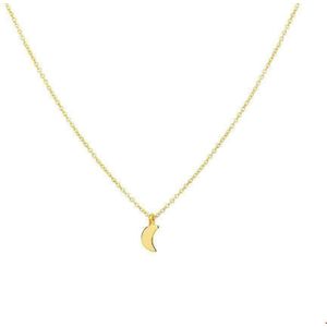 collier maan 41 - 43 - 45 cm 14K geelgoud 4019470