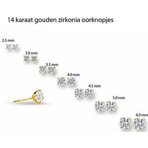 oorknoppen zirkonia 14K geelgoud 4000724