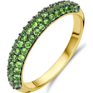14K geelgoud ring tsavoriet 4029752 18.50