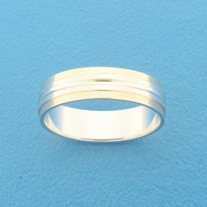 Goud met Zilveren Ring AL757 - 5 mm - zonder steen 5600197 16.50 mm (52)