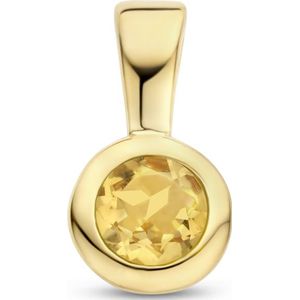hanger met geboortesteen zilver verguld (geel) 2102838