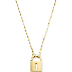 goud (geelgoud) collier slot 41 - 43 - 45 cm 4025873