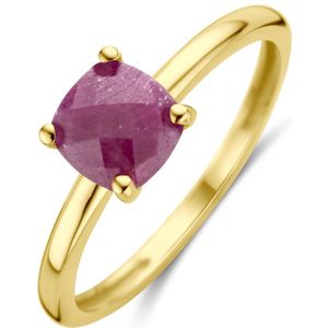 14K geelgoud ring robijn 4030568 17.25
