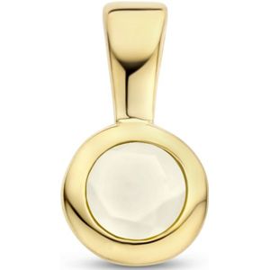 hanger met geboortesteen zilver verguld (geel) 2102846