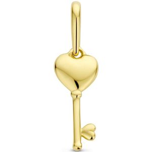 goud (geelgoud) hanger hart sleutel 4025837